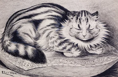 Gatita